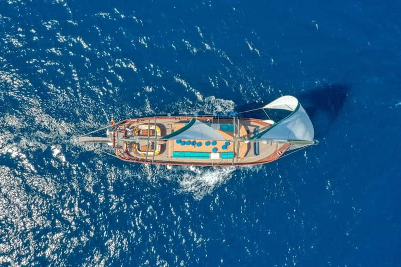 Barcelona: Supercar Driving & Boat Experience - The basic shape of the two-hour outing