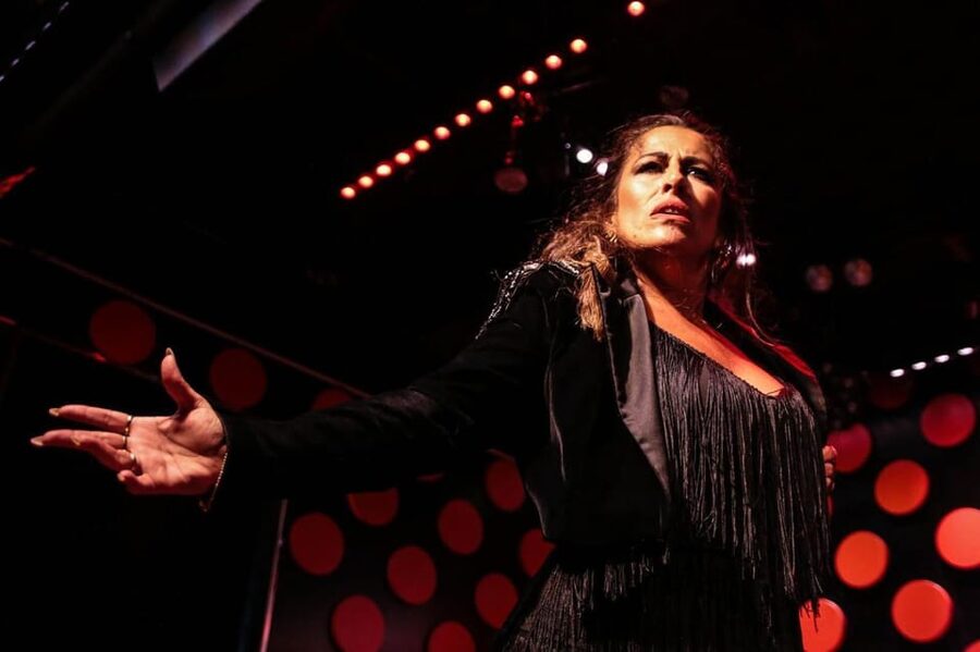 Barcelona: Tapas and Flamenco Experience - The Gothic Quarter walk is a transfer, not a food tour
