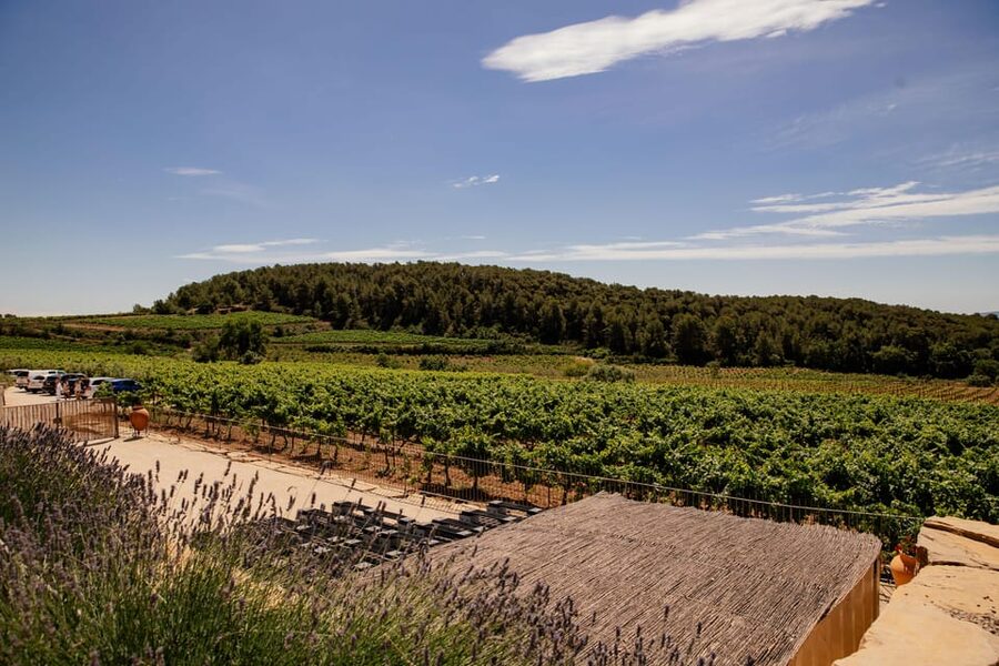 Barcelona: Vineyard Horseback Riding & Wine Tasting + Tapas - Should you book this Penedès horseback and wine tour?