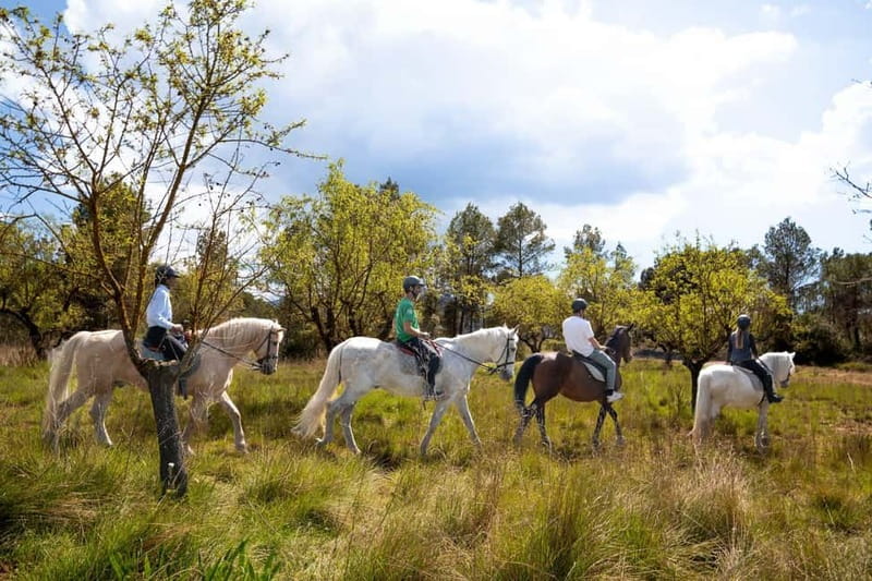 Barcelona: Walking and Horse Riding Day-Trip in Montserrat - The Monastery of Montserrat and its mountain setting
