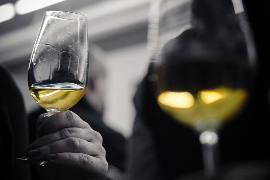Barcelona Wine Tasting: Catalan and Spanish Wines - Tasting Technique You Can Use Later