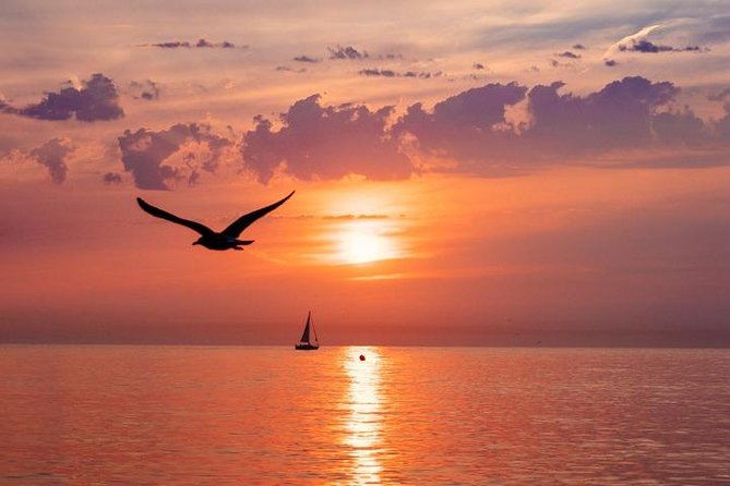 Beach Yoga Emotion Sitges (Barcelona) - Is $14 good value?