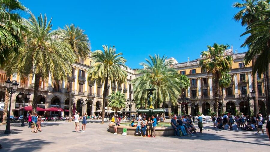 Best of Barcelona: Private Walking Tour with a Local - Mercat de Sant Antoni and local food advice