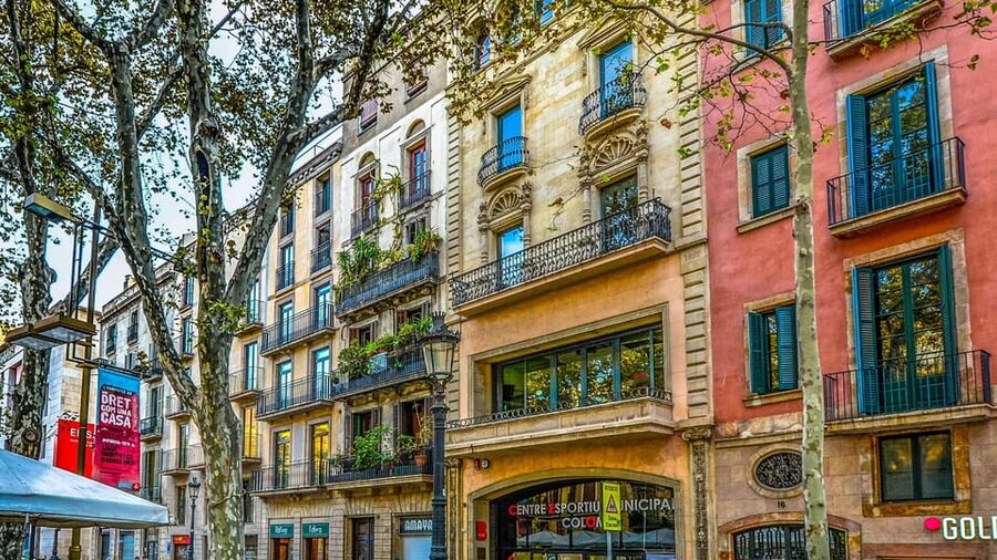 Best of Barcelona: Private Walking Tour with a Local - What private and flexible really mean