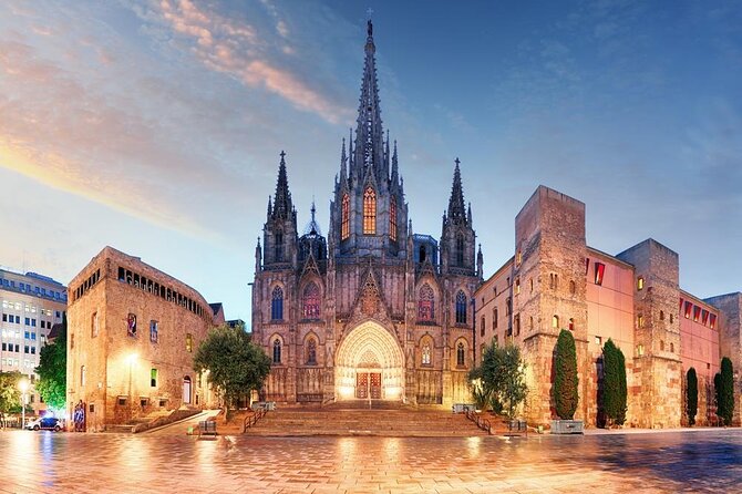 Cathedral of Barcelona Entrance Ticket - Optional Private Guide - Key points to know before you book