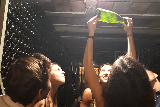 Cava tour to 3 family wineries with hotel pick-up - Key points to know before you book