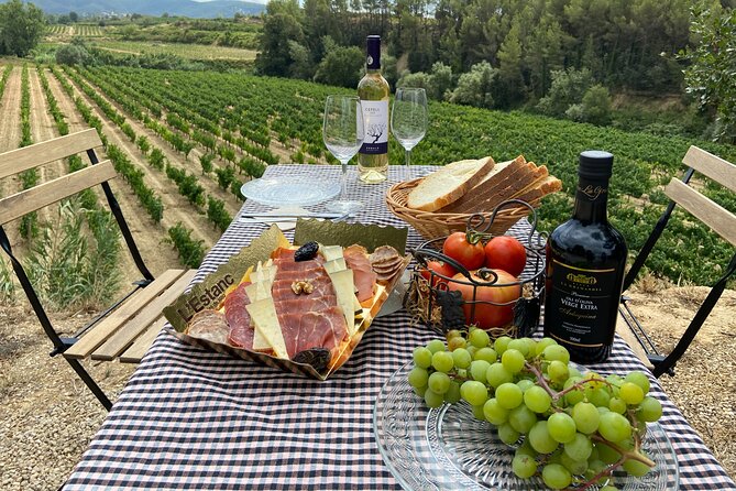 Cava tour to 3 family wineries with hotel pick-up - Vins El Cep, a quiet final stop with two contrasting pours