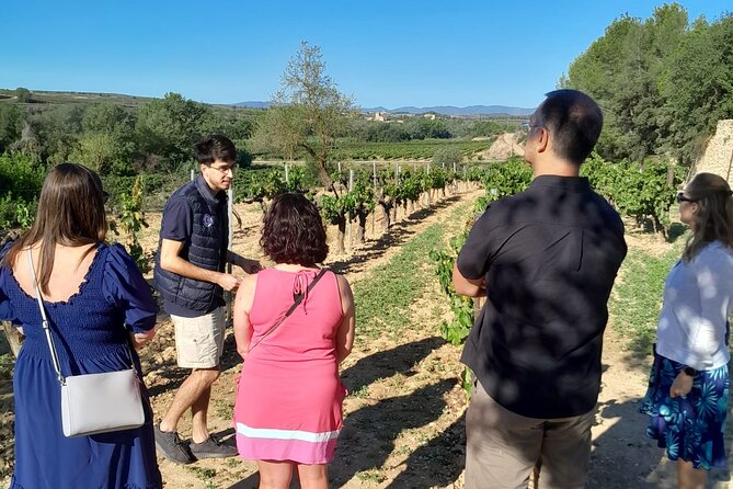 Cava tour to 3 family wineries with hotel pick-up - Practical advice for a better day