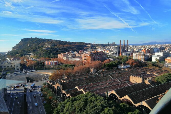 Columbus Monument Access With Barcelona Seaside Guided Tour - Drassanes and the naval power of Aragón