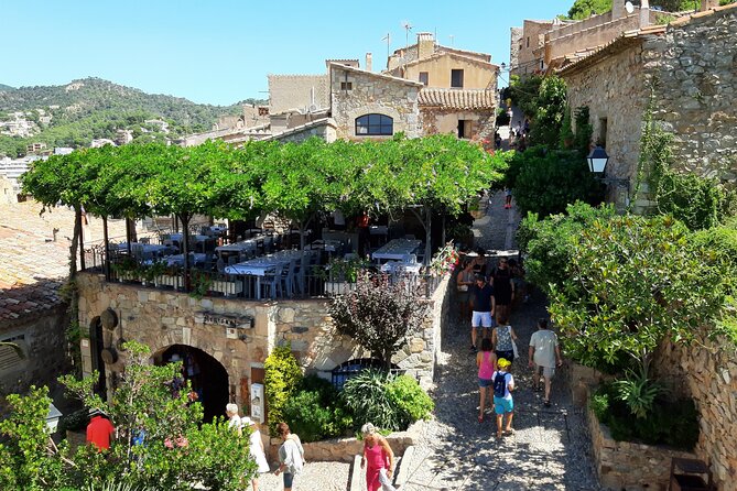 Costa Brava Beach Tour from Barcelona to Tossa de Mar - Picking the Right Beach in Tossa de Mar