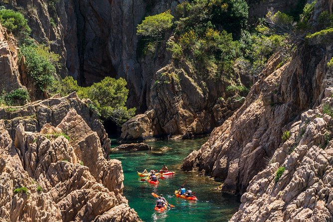 Costa Brava Kayaking and Snorkeling Small Group Tour with Lunch - Snorkeling, swimming, and what you might see