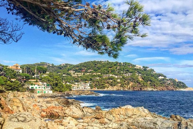 Costa Brava Private Experience by Car with local expertise - Is $234.05 per person good value?