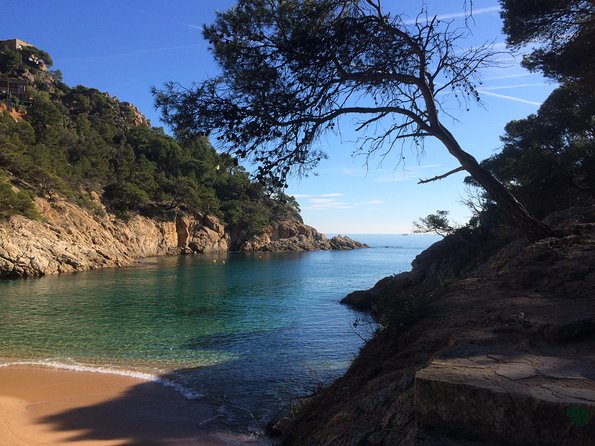 Costa Brava Scenic Hike & Tossa de Mar Small Group Tour - Cala Pola and Cala Bona: swimming time with conditions