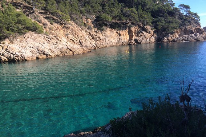 Costa Brava Scenic Hike & Tossa de Mar Small Group Tour - Practical planning for the morning