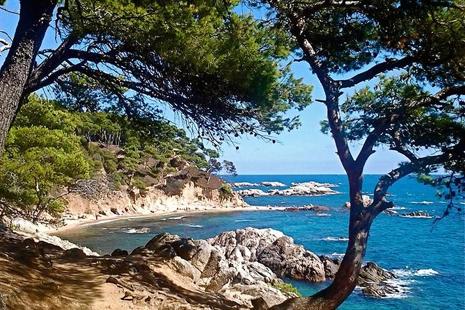 Costa Brava Small Group Hiking Tour from Barcelona - What the morning transfer is like