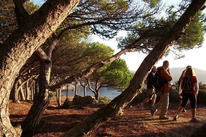 Costa Brava Small Group Hiking Tour from Barcelona - Ancient Iberian ruins and a working fishing port