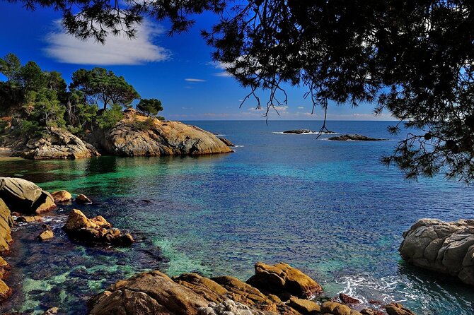 Dali Museum and Costa Brava Small Group Tour - Who should book this day trip