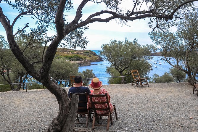 Dali Museum, House & Cadaques Small Group Tour from Barcelona - Price, extra costs, and overall value
