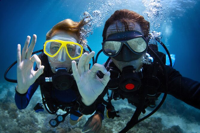 Discover PADI Diving in Barcelona - What the Barcelona session is really like