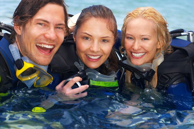Discover PADI Diving in Barcelona - What you might see, and what you probably will not