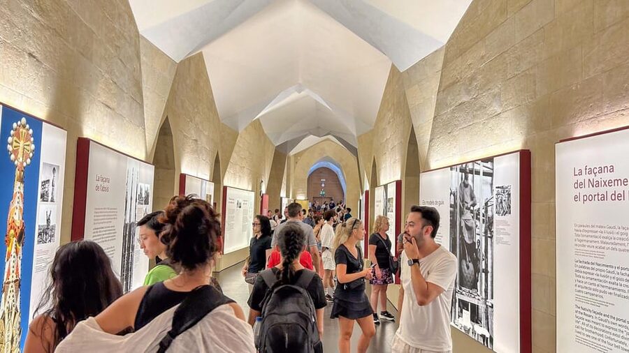 Early Access to Sagrada Familia w/ Optional Tower Access - Inside beneath the tree-like columns