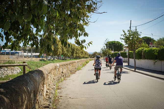 Ebike Tour, Winery, Wine Tasting & Sailing Experience(car option) - Port Masnou and the move to the yacht