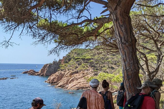 Explore Costa Brava & Tossa de Mar Coastal Trails, Snorkel & Meal - Lunch that keeps the day moving