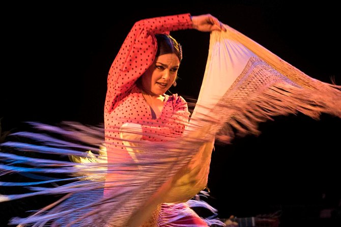 Flamenco Show Ticket at Theatre Barcelona City Hall - Who should book this show