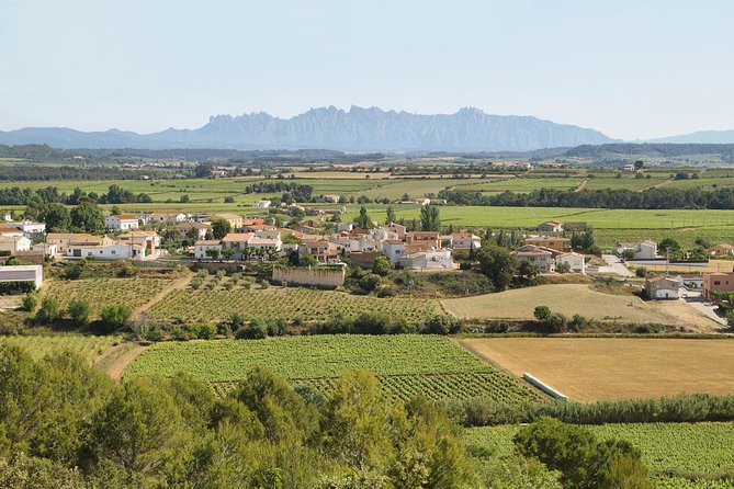 Food and Wine Small Group Tour from Barcelona - Maximum 8 people - What the $240.66 price covers