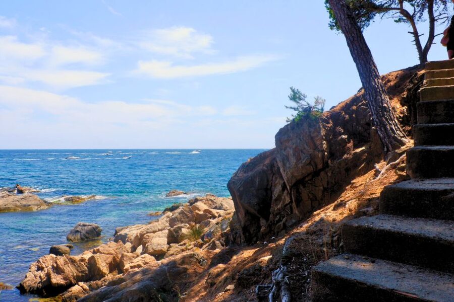 From Barcelona: Costa Brava & Girona Small Group Day Trip - A three-course Catalan lunch with wine