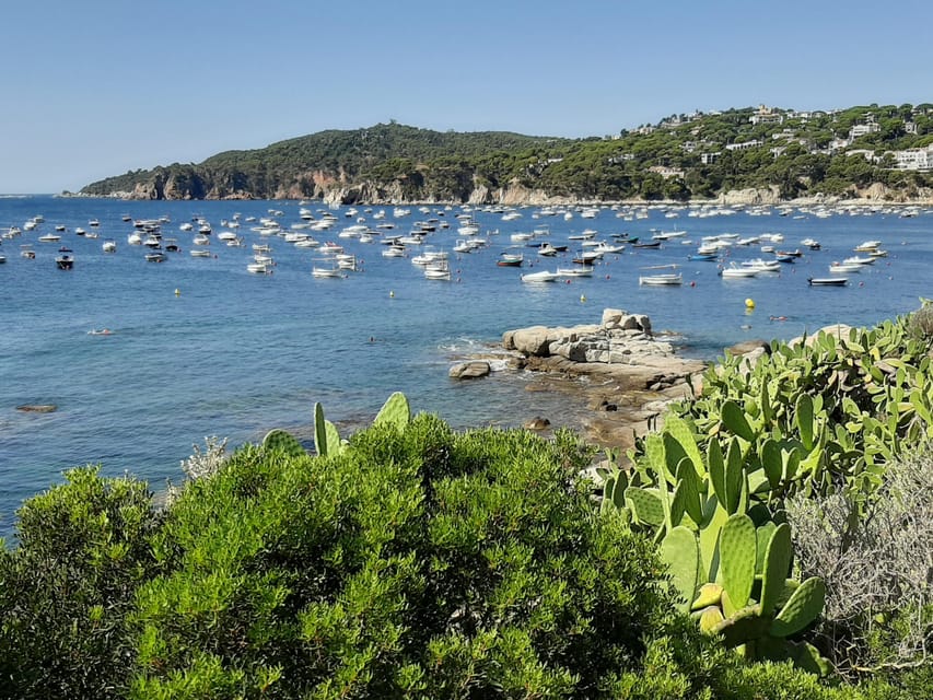 From Barcelona: Costa Brava Typical Towns full day tour - Pals, a hilltop town with wide views