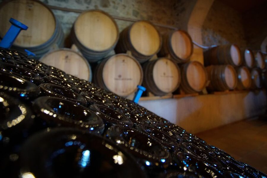 From Barcelona: E-Bike and Sailing Tour with Wine Tastings - Who will enjoy this day most