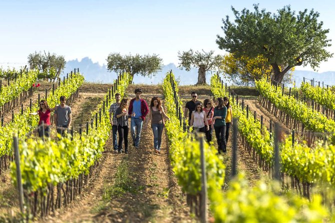From Barcelona: El Penedès Hike & Wines - Key points before you book