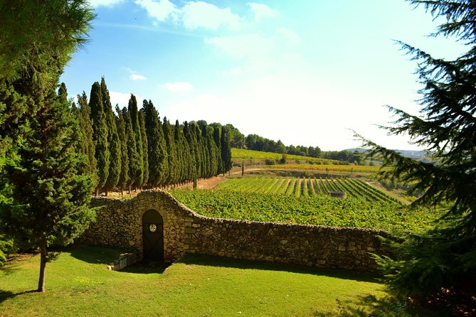 From Barcelona: El Penedès Hike & Wines - Leaving Barcelona for El Penedès