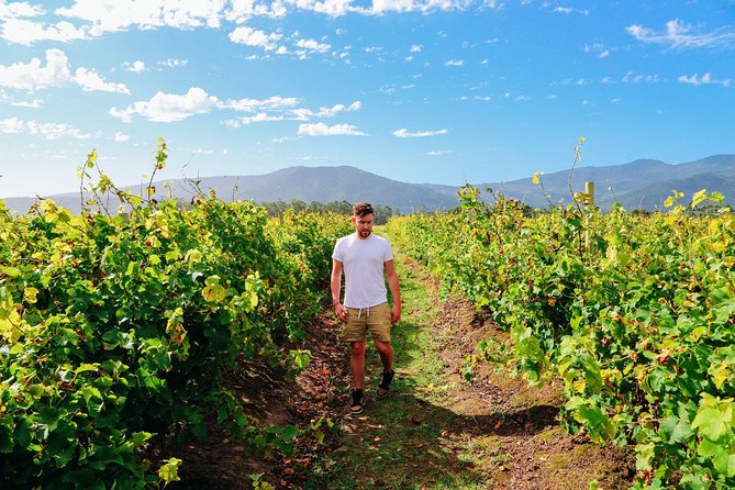From Barcelona: El Penedès Hike & Wines - Why the small group changes the day