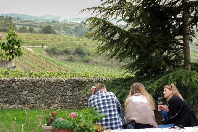 From Barcelona: El Penedès Hike & Wines - Who should choose this experience