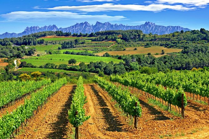 From Barcelona: El Penedès Hike & Wines - Walking among the vineyards for two hours