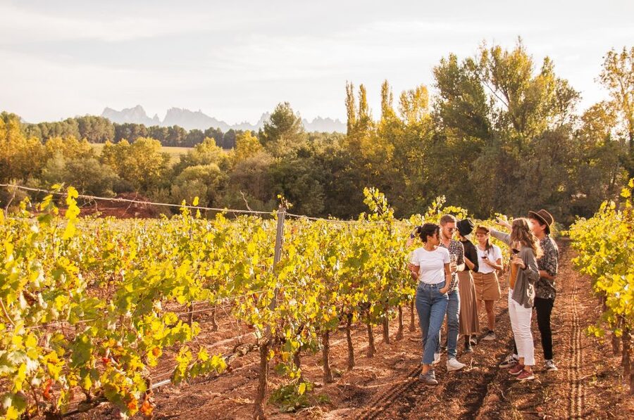 From Barcelona: Full-Day Montserrat & Wine Small Group Tour - The timing and the return to Barcelona