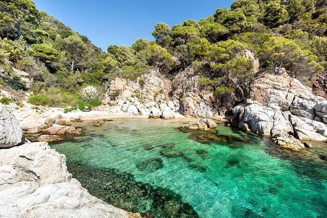 From Barcelona : Girona and Costa Brava Small Group Tour - Who will enjoy this day most?