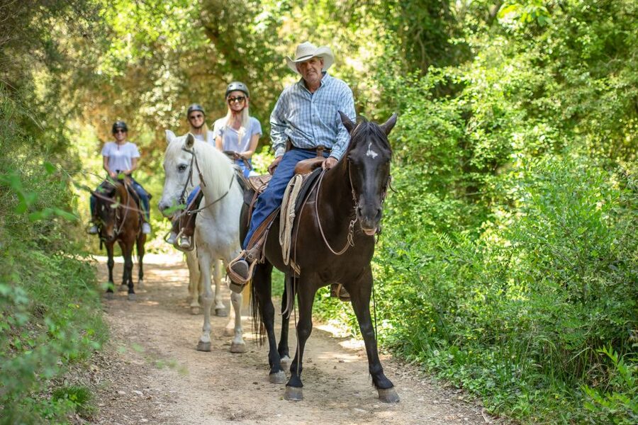 From Barcelona: Half-Day Montserrat & Horse Riding Tour - Timing, cancellations, and group choices