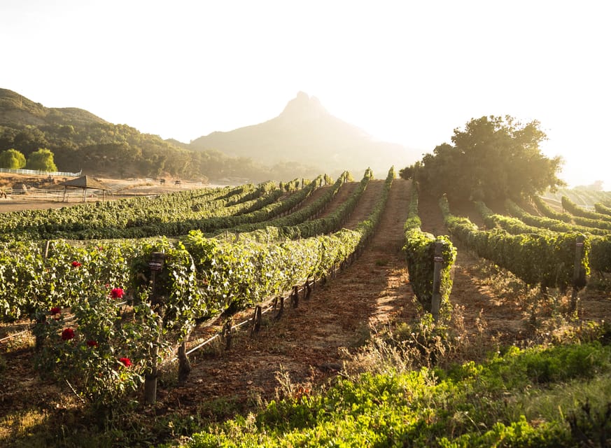From Barcelona: Half-Day Trip to Montserrat Mountain - Reaching the lookout for Catalan views