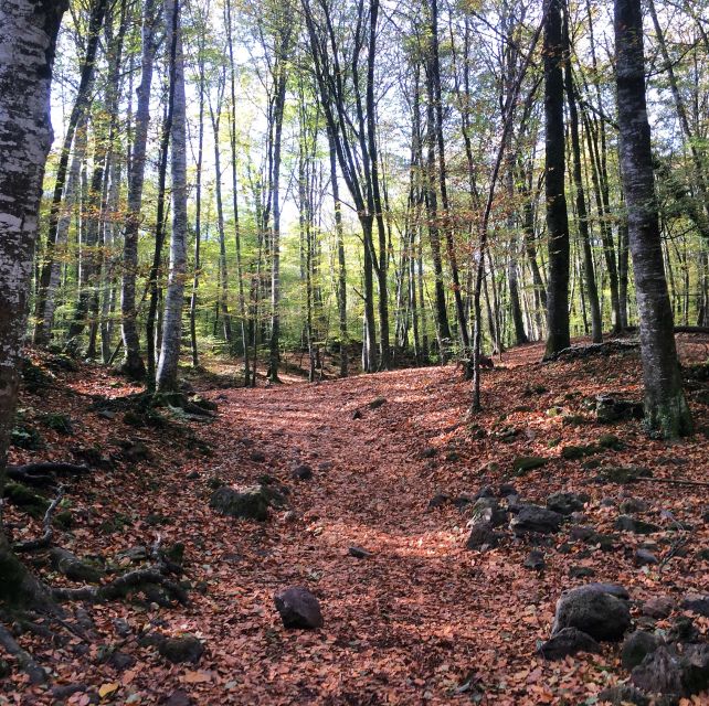 From Barcelona: Medieval Villages and Volcanic Hiking Tour - Sant Joan les Fonts and its medieval remains