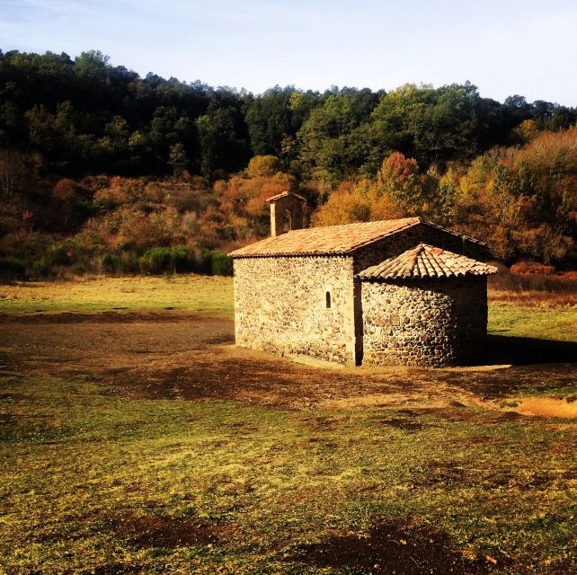 From Barcelona: Medieval Villages and Volcanic Hiking Tour - Besalú, the strongest medieval stop