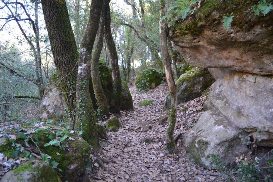 From Barcelona: Medieval Villages and Volcanic Hiking Tour - The guide and small-group experience