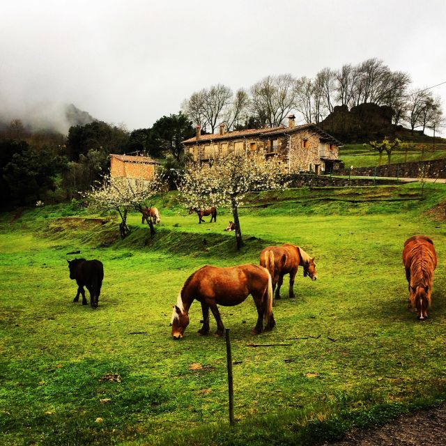 From Barcelona: Medieval Villages and Volcanic Hiking Tour - Leaving Barcelona for La Garrotxa