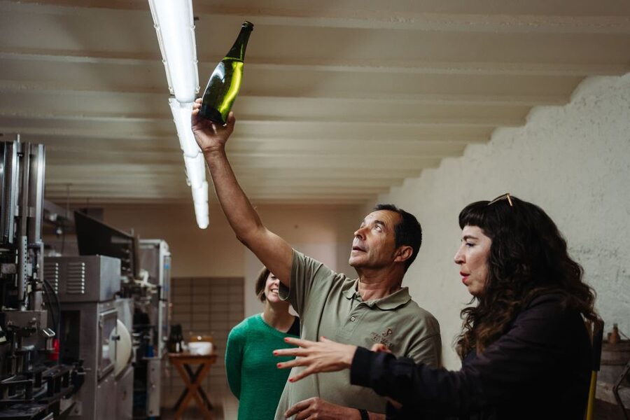 From Barcelona: Montserrat & Cava Winery Day Trip - Who will get the most from this tour