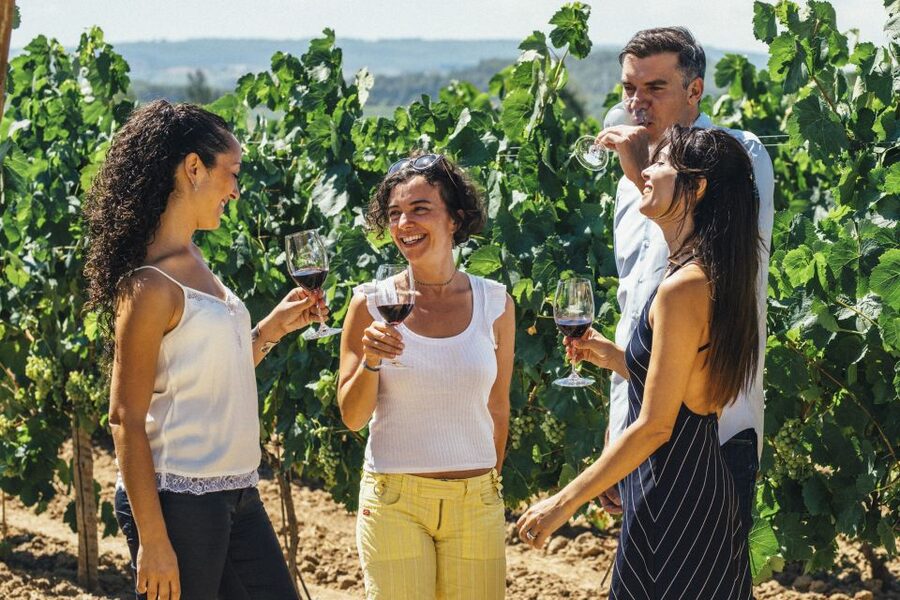 From Barcelona: Penedés Vineyards Tour by 4WD w/Wine & Cava - Can Bas and the world of still wine