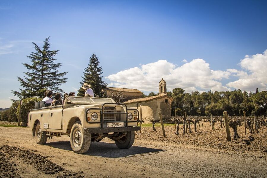 From Barcelona: Penedés Vineyards Tour by 4WD w/Wine & Cava - The 4x4 ride through ancient vines