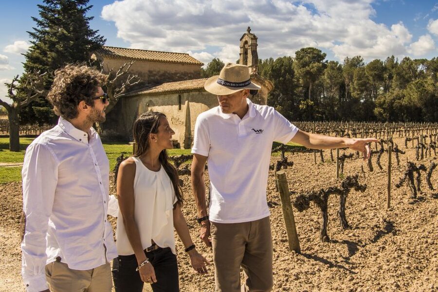 From Barcelona: Penedés Vineyards Tour by 4WD w/Wine & Cava - Seven tastings, with food on the side