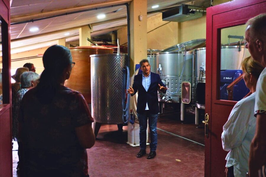 From Barcelona: Priorat's Exclusive Cellars, Wines & Nature - Why Priorat is worth the long ride from Barcelona